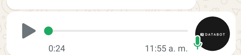 24-second voice note sent by the bot in the chat